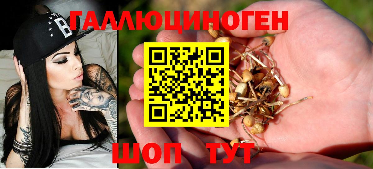 Галлюциногенные грибы прущие грибы Борисоглебск