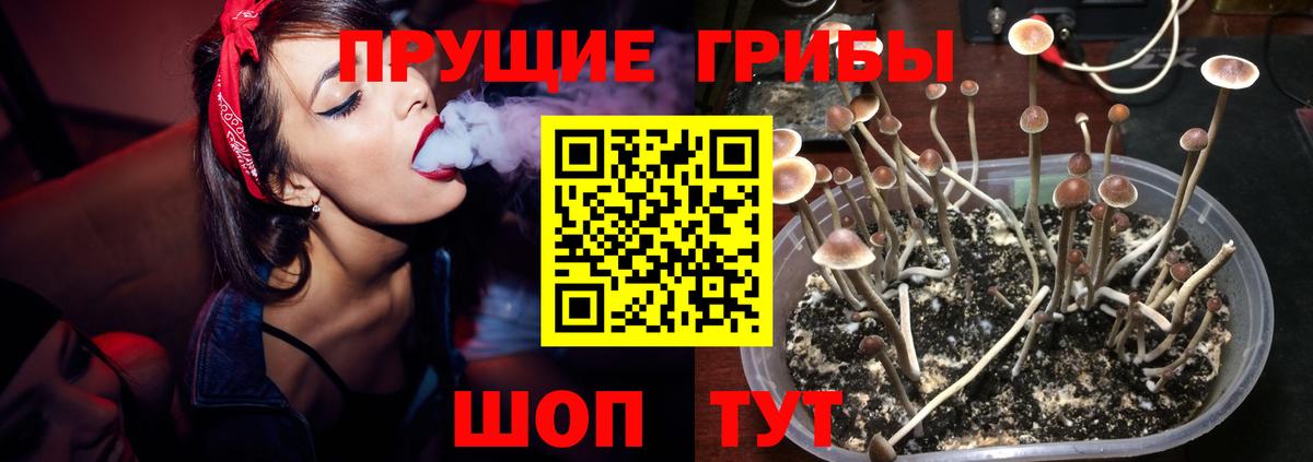 Борисоглебск  Галлюциногенные грибы ЛСД  Вход с VPN 